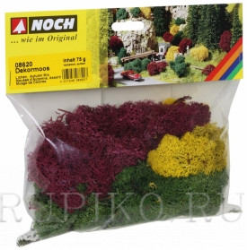 Noch 08620 Мох осениий